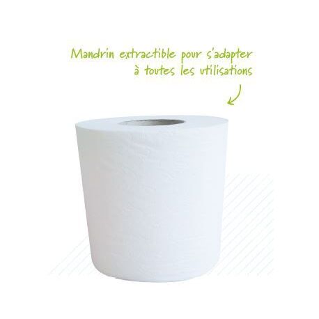 Essuie-mains en rouleau - 450 formats Essuie-mains en rouleau - 450 formats